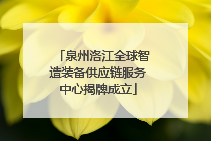 泉州洛江全球智造装备供应链服务中心揭牌成立