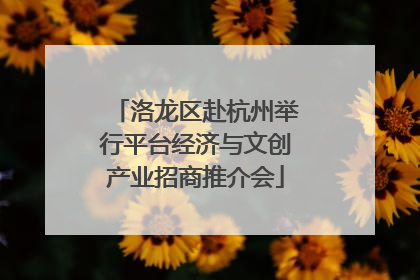 洛龙区赴杭州举行平台经济与文创产业招商推介会