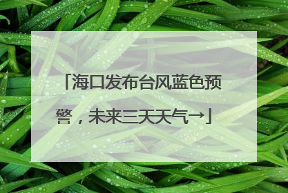 海口发布台风蓝色预警，未来三天天气→