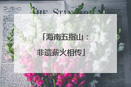 海南五指山：非遗薪火相传