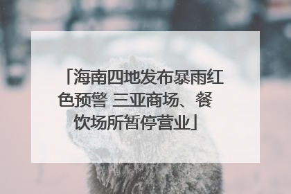 海南四地发布暴雨红色预警 三亚商场、餐饮场所暂停营业