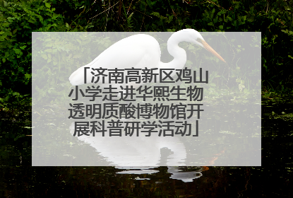 济南高新区鸡山小学走进华熙生物透明质酸博物馆开展科普研学活动