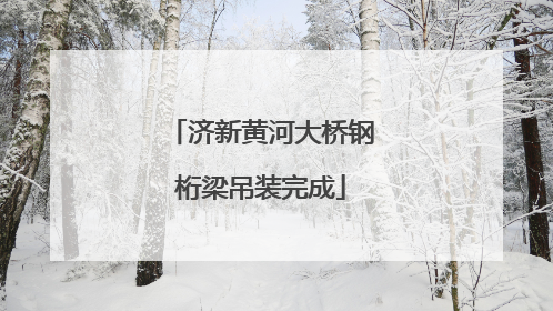 济新黄河大桥钢桁梁吊装完成