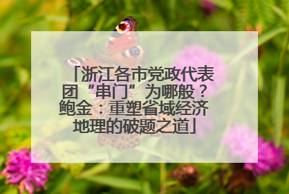 浙江各市党政代表团“串门”为哪般？鲍金：重塑省域经济地理的破题之道