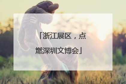 浙江展区，点燃深圳文博会