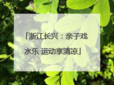 浙江长兴：亲子戏水乐 运动享清凉