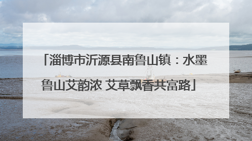 淄博市沂源县南鲁山镇：水墨鲁山艾韵浓 艾草飘香共富路