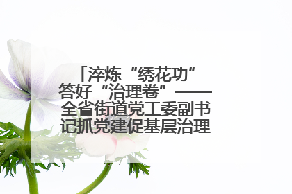 淬炼“绣花功” 答好“治理卷”——全省街道党工委副书记抓党建促基层治理培训示范班侧记