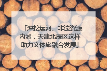 深挖运河、非遗资源内涵，天津北辰区这样助力文体旅融合发展