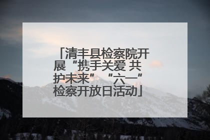 清丰县检察院开展“携手关爱 共护未来”“六一”检察开放日活动