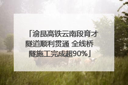 渝昆高铁云南段育才隧道顺利贯通 全线桥隧施工完成超90%