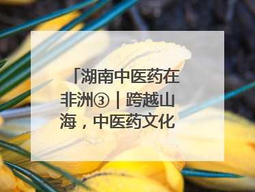 湖南中医药在非洲③｜跨越山海，中医药文化浸润非洲