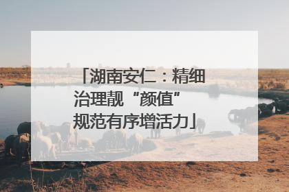 湖南安仁：精细治理靓“颜值” 规范有序增活力