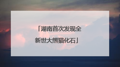 湖南首次发现全新世大熊猫化石