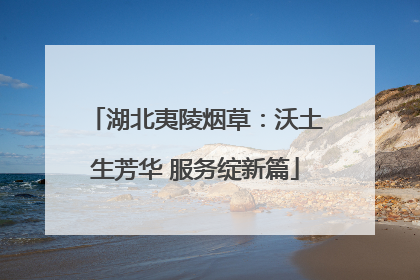 湖北夷陵烟草：沃土生芳华 服务绽新篇