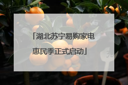 湖北苏宁易购家电惠民季正式启动
