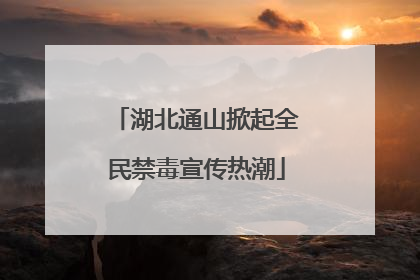 湖北通山掀起全民禁毒宣传热潮
