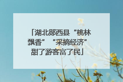 湖北郧西县“桃林飘香”“采摘经济”甜了游客富了民