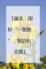 湖北：用好“一张图”，智治有支撑