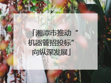 湘潭市推动“机器管招投标”向纵深发展