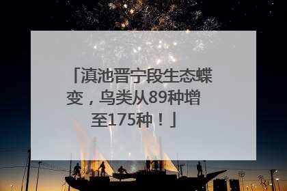 滇池晋宁段生态蝶变，鸟类从89种增至175种！