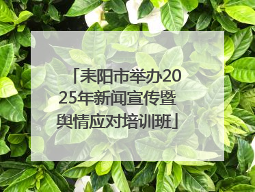 耒阳市举办2025年新闻宣传暨舆情应对培训班