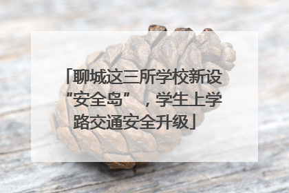 聊城这三所学校新设“安全岛”，学生上学路交通安全升级