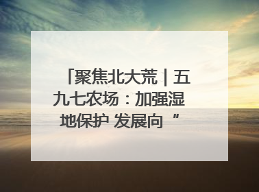 聚焦北大荒｜五九七农场：加强湿地保护 发展向“绿”而行