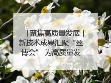 聚焦高质量发展｜新技术成果汇聚“丝博会” 为高质量发展注入新动能