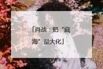 肖战：把“藏海”最大化