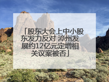 股东大会上中小股东发力反对 漳州发展约12亿元定增相关议案被否
