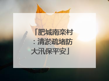 肥城南栾村：清淤疏堵防大汛保平安