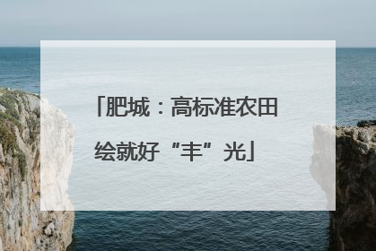 肥城：高标准农田绘就好“丰”光