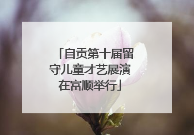 自贡第十届留守儿童才艺展演在富顺举行
