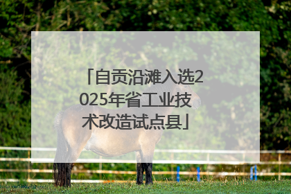 自贡沿滩入选2025年省工业技术改造试点县