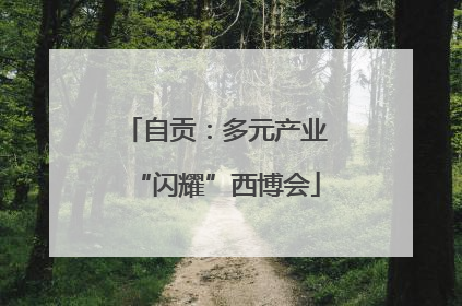 自贡：多元产业“闪耀”西博会