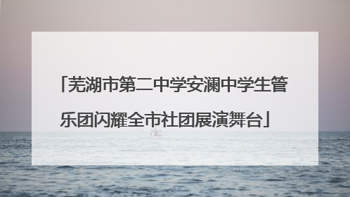 芜湖市第二中学安澜中学生管乐团闪耀全市社团展演舞台