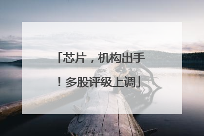 芯片，机构出手！多股评级上调
