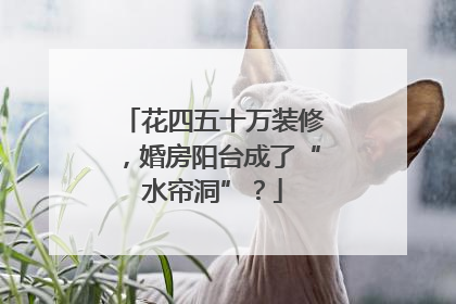 花四五十万装修，婚房阳台成了“水帘洞”？