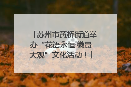 苏州市黄桥街道举办“花语永恒·微景大观”文化活动！