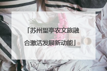 苏州望亭农文旅融合激活发展新动能