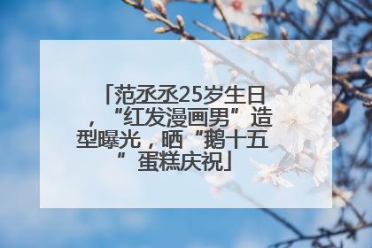 范丞丞25岁生日，“红发漫画男”造型曝光，晒“鹅十五”蛋糕庆祝