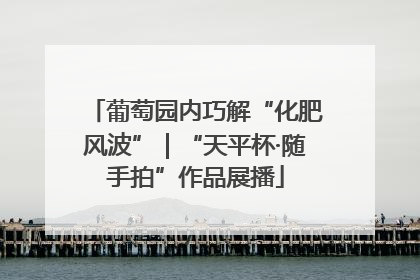 葡萄园内巧解“化肥风波”｜“天平杯·随手拍”作品展播