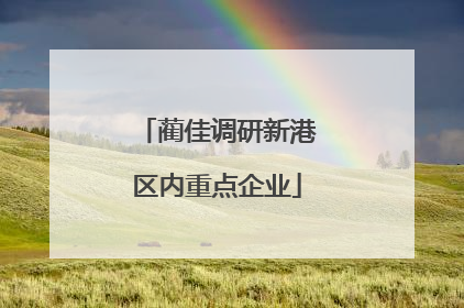 蔺佳调研新港区内重点企业