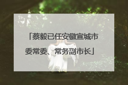 蔡毅已任安徽宣城市委常委、常务副市长