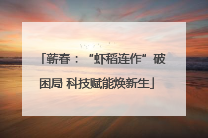 蕲春：“虾稻连作”破困局 科技赋能焕新生