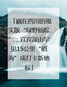 藏在四川的现实版“绿野仙踪”：宜宾深山罕见15公里“稻海”成打卡新地标