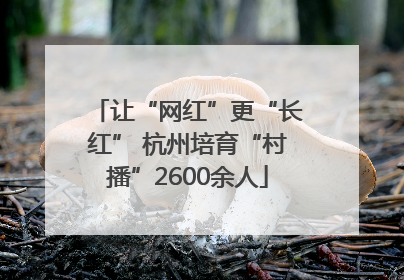 让“网红”更“长红” 杭州培育“村播”2600余人