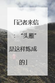 记者来信：“头雁”是这样炼成的