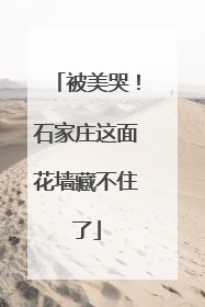 被美哭！石家庄这面花墙藏不住了
